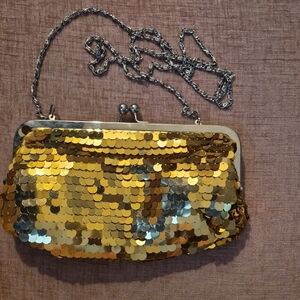 Sequin Evening Clutch - Gold and Silver